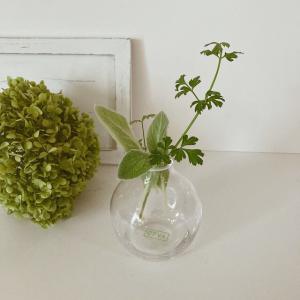 グリーンも映える🌿クリアなガラス花器  生花にも　アーティフィシャルにも　キッチンフラワーにも　涼やかクリアガラス　小さな花瓶　ガラス　フラワーベース　花器_1