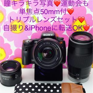 単焦点50mm付○トリプルレンズセット○自撮り&iPhoneに転送OK○α33-