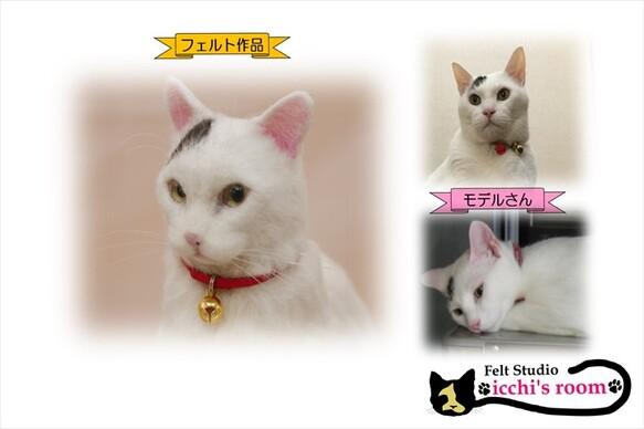 ウチの子そっくり 愛猫オーダー！ 羊毛フェルト 猫 オーダー ペットロス ぬいぐるみ うちの子 オーダーメイド 羊毛フェルト icchi's  room／きたがわたけし