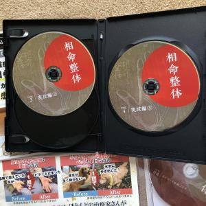 豪華 安倍吽馬易の「相命整体 ‐極‐」DVD 【限定販売品】 その他