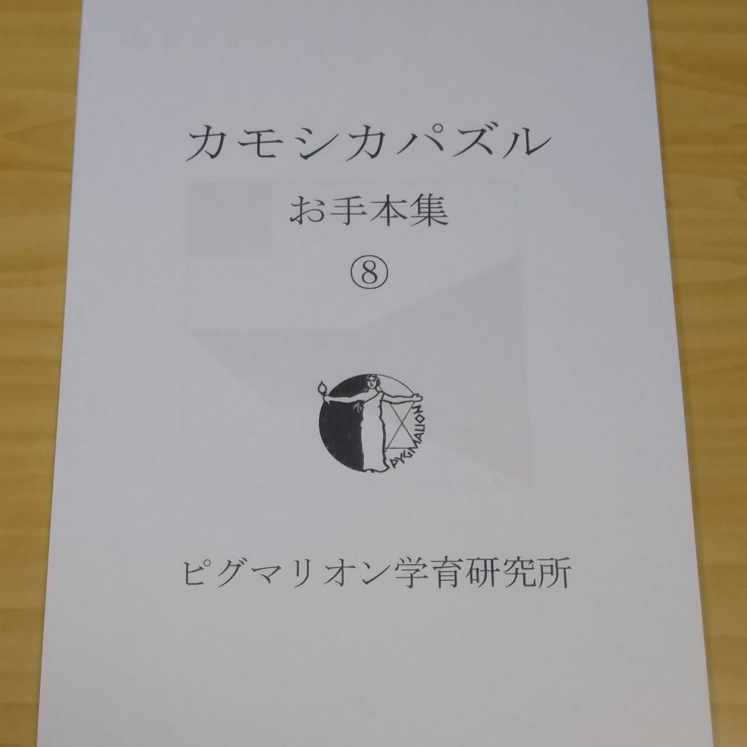 ピグマリオン 天地パズル お手本集 - 通販 - gofukuyasan.com