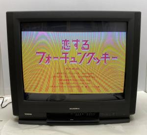 家電、AV、カメラ│映像機器│テレビ│25インチ〜│ブラウン管│ 検索結果[1]