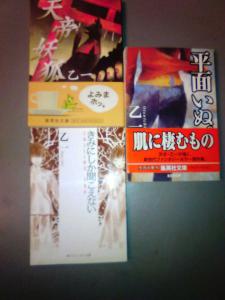 乙一 3冊 君にしか聞こえない 平面いぬ 天帝妖狐