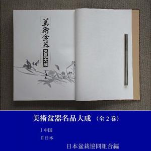 百】美術盆器名品大成 中国編・日本編 全2巻 ☆日本盆栽協同組合 盆栽人の座右の書 盆栽鉢・樹鉢・水盤・卓・添景・落識集