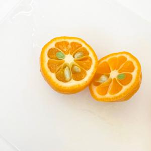 酸っぱ甘い希少な福寿金柑のドライフルーツ｜砂糖不使用 ドライフルーツ_3