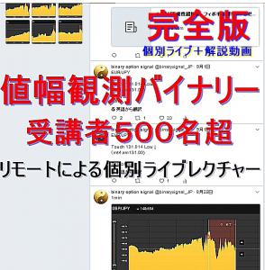 win13inquiry 販売履歴[1]