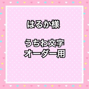 きょろちゃん(年末についてプロフ要確認) 販売履歴[30]