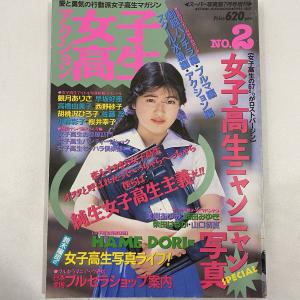 激烈ハイスクール 1994年 漫画ストロング11月号増刊 /MTD  7-5(アイドル、芸能人)｜売買されたオークション情報、yahooの商品情報をアーカイブ公開 - オークファン 本、雑誌