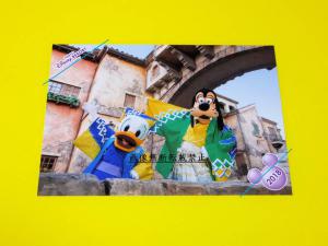 18 お正月 ディズニーシー Tds ドナルド グーフィー スペシャルフォト スペフォ 写真 フォト