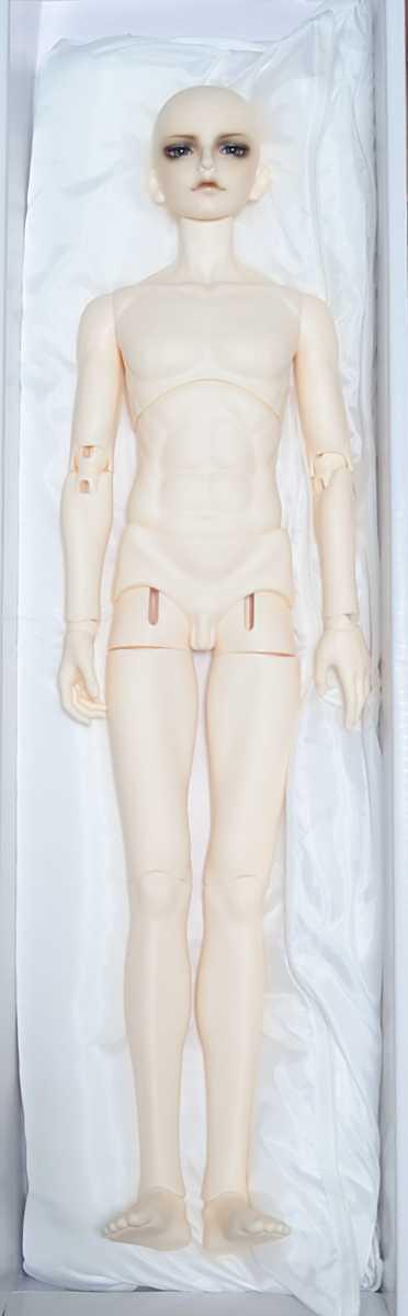 BJD CROBI製 R-Line Boy Body ノーマル肌 | mentonis-group.gr