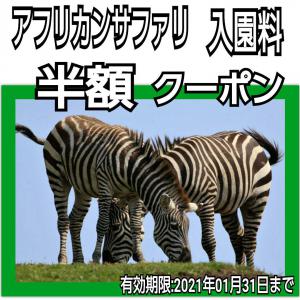 大分 アフリカンサファリ 半額クーポン