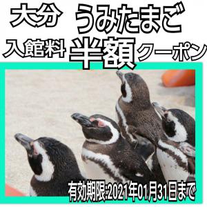 大分 アフリカンサファリ 半額クーポン