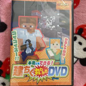 ランキング22 雑誌 オマケ Dvd マイクラ マリオ キッズ ファミリー