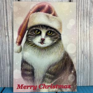 クリスマスカード　猫ちゃんのクリスマス　Ｌサイズ カード5枚セット　クリスマスカード　メッセージカード_1