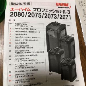 てるてる 販売履歴 1