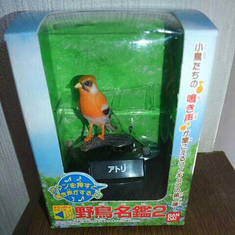 になさる ヤフオク! 貴重絶版 野鳥名鑑 ５個セット開封済み中古品お