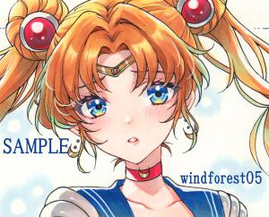 windforest05 販売履歴[1]