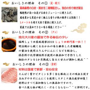 ⭐究極の炭火豚丼の具【ぎゃん丼】8食(1パック2食×4)【手作り無添加】_5