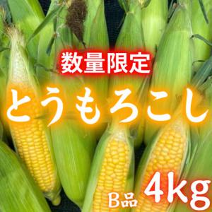 土佐の柑橘屋 甘きち君 販売履歴[1]