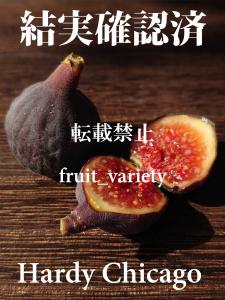 fruit_variety 販売履歴[1]