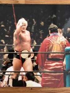 オールカラープロレス特集号 ザ・プロレス 号外1981年5/5〜8/4 （7部