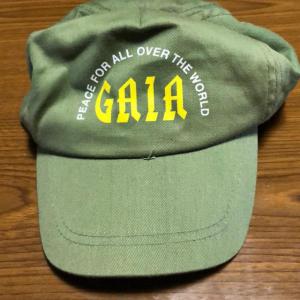 緑の帽子_1