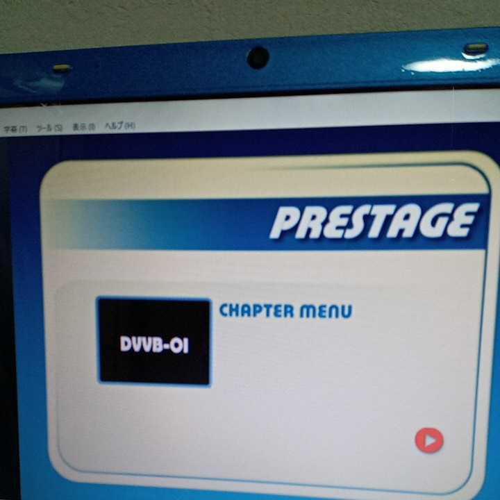 PRESTAGE 型番ＤＶＨＳ1～28(29,30欠番)31～34 ブルマ 体育祭 DVD ブルマDVD プレステージ