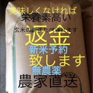 愛媛県東温市 渡部ファーム 販売履歴[1]