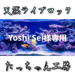 Yoshi Sei様専用 ライブロック 2kg 販売履歴[1]