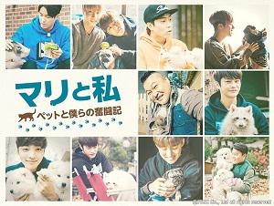 「マリと私」DVD 17枚 全話 　ソ・イングク　iKON(ジナン＆B.I)