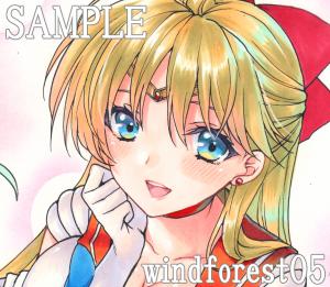 windforest05 販売履歴[2]