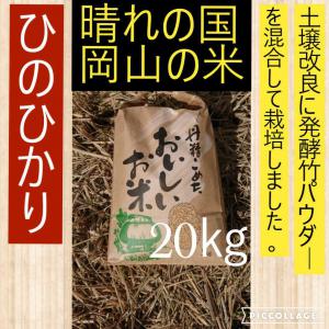 激安通販の 晴れの国岡山のお米☆希少朝日米20kg【令和5年産新米】発酵