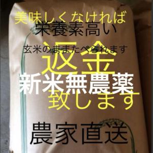 愛媛県東温市 渡部ファーム 販売履歴[1]