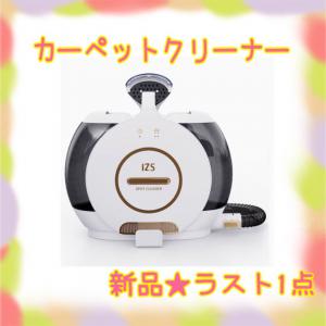 セール直営店 ❤️大特価❤️ カーペットクリーナー リンサー 2L大容量