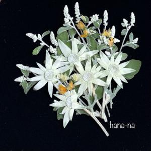 Hana Na 花菜 販売履歴 1