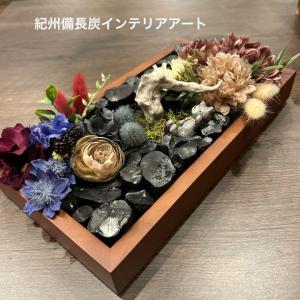 フラワー・ガーデニング│観葉植物│その他観葉植物│ 検索結果[7]