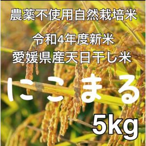 野菜の村 販売履歴[1]