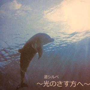 道シルベ～光のさす方へ～