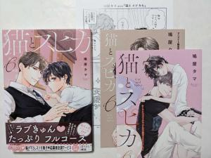 BL 各小冊子 アニメイト コミコミ とらのあな HLB-