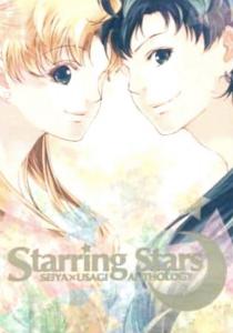 stars_svv 販売履歴[1]