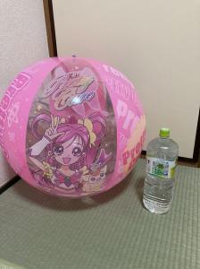 巨大化 韓国版プリキュア5 ビーチボール