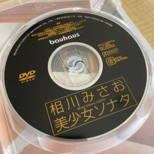 相川みさお DVD 美少女ソナタ トレカ付