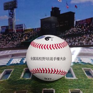 第102回全国高校野球選手権大会公式球【ケース付】