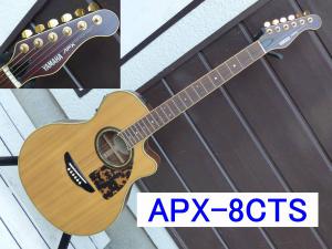 美品 YAMAHA APX-8CTS アコースティックギター 長渕剛