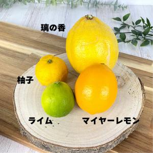 【希少種レモン】まろやかフルーティ璃の香｜砂糖不使用ドライフルーツ_4