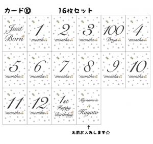  マンスリーカード ⑩ 16枚セット さくらんぼ チェリー 星