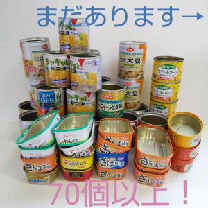 空き缶大量 リメイク缶 リメ缶 寄せ植え シーチキン ハンドメイド あき缶