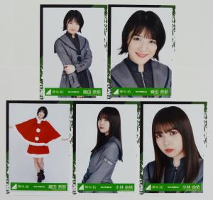 欅坂46 生写真 2019-SPRING 10種 菅井友香 小林由依 織田奈那 新品未使用 公式生写真 2nd YEAR ANNIVERSARY  LIVE クリスマス けやき坂